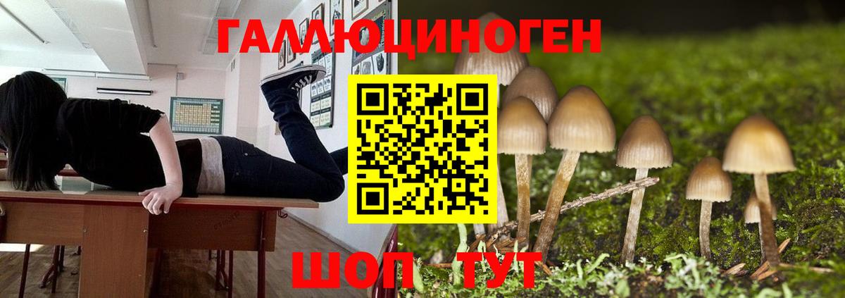 Псилоцибиновые грибы GOLDEN TEACHER  Вход с VPN  Ленинск-Кузнецкий 