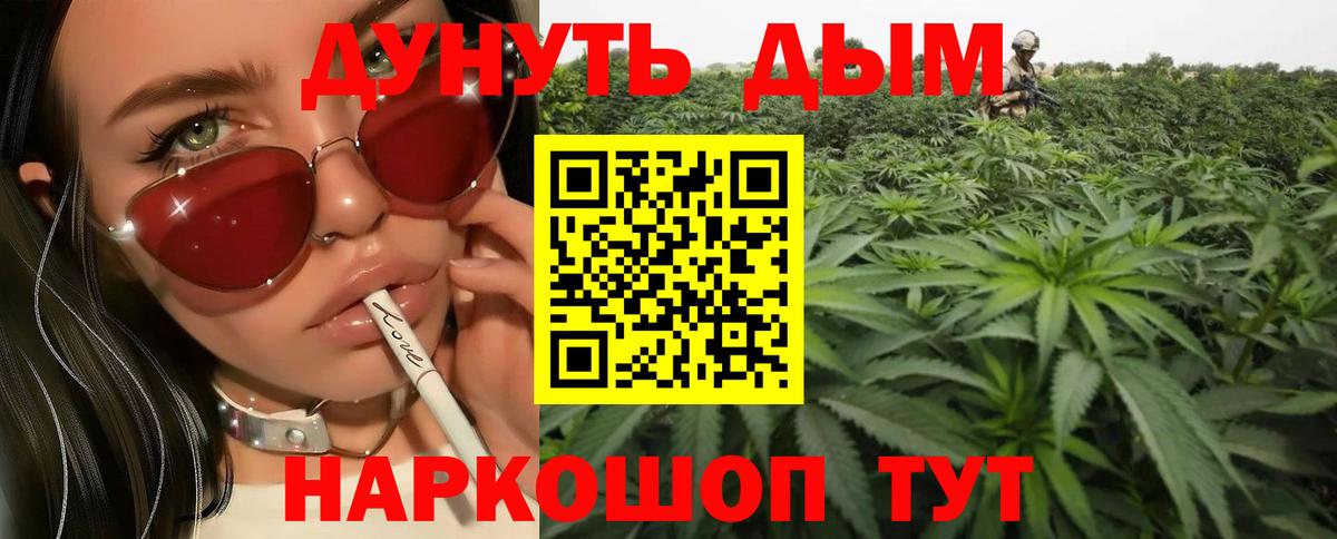Бошки марихуана конопля Ленинск-Кузнецкий